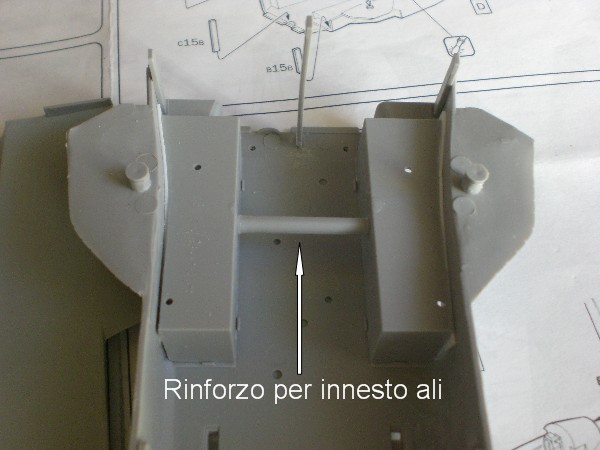 Web CIMG3268