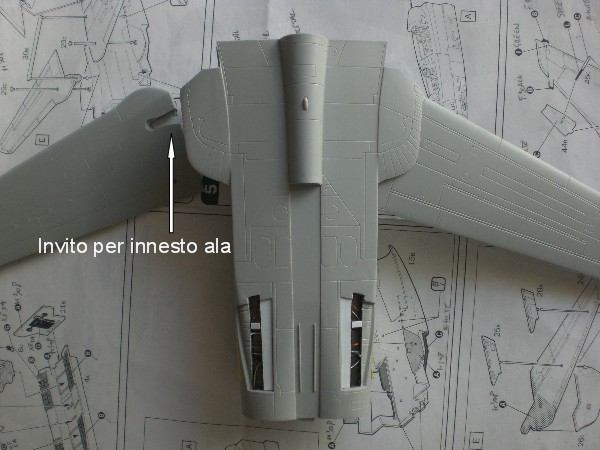 innesto ala